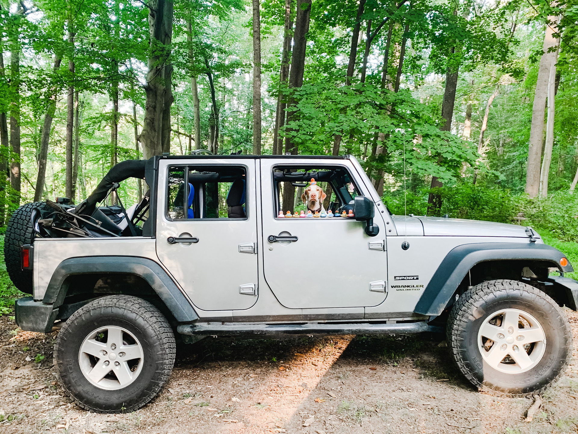 Ducking Huge! Jeep Bringing The World’s Largest Rubber Duck To Detroit Auto Show