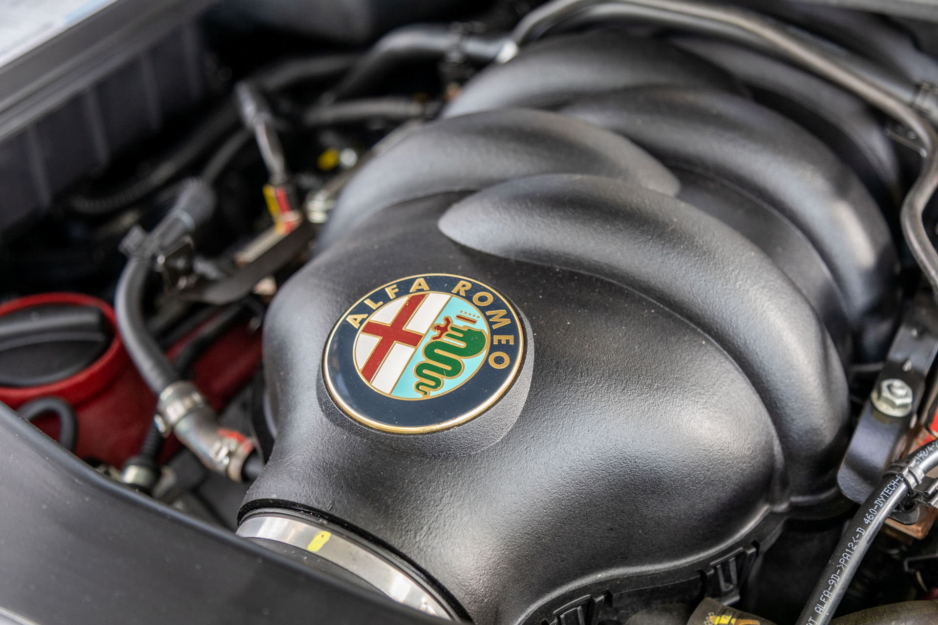 Super Rare, Super Gorgeous Blu Celeste Alfa Romeo 8C Spider Could Be Yours