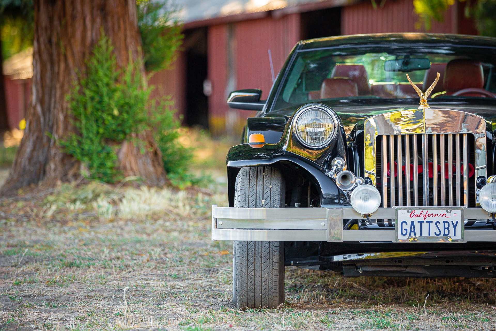 Neo-Classic Or Neo-WTH? You Decide With This 2011 Zimmer Golden Spirit Coupe