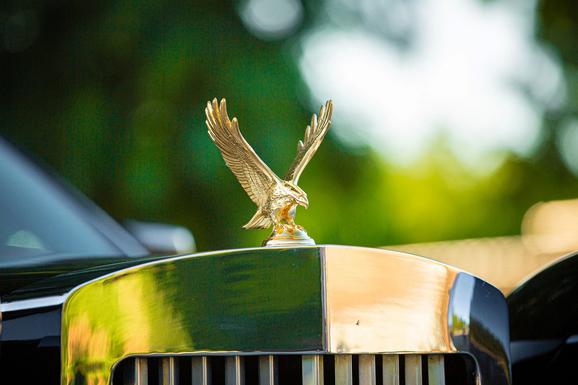 Neo-Classic Or Neo-WTH? You Decide With This 2011 Zimmer Golden Spirit Coupe