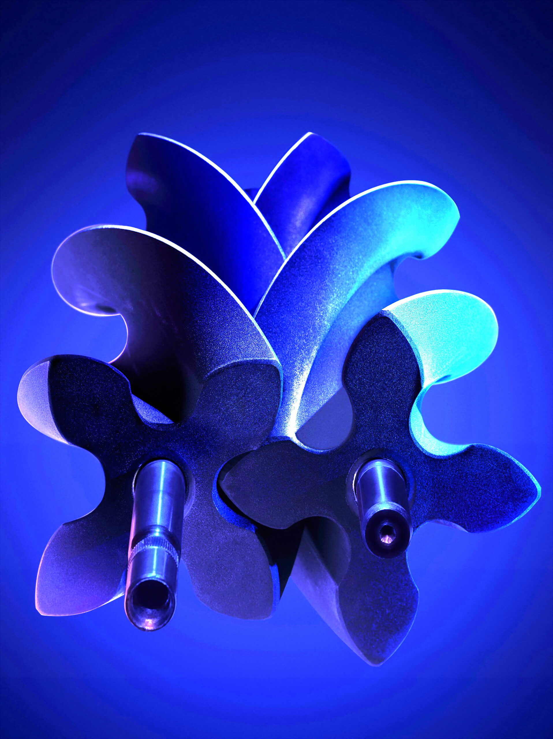 Jaguar F-Type Riding Into The Sunset, Getting 75 Edition As A Final Sendoff