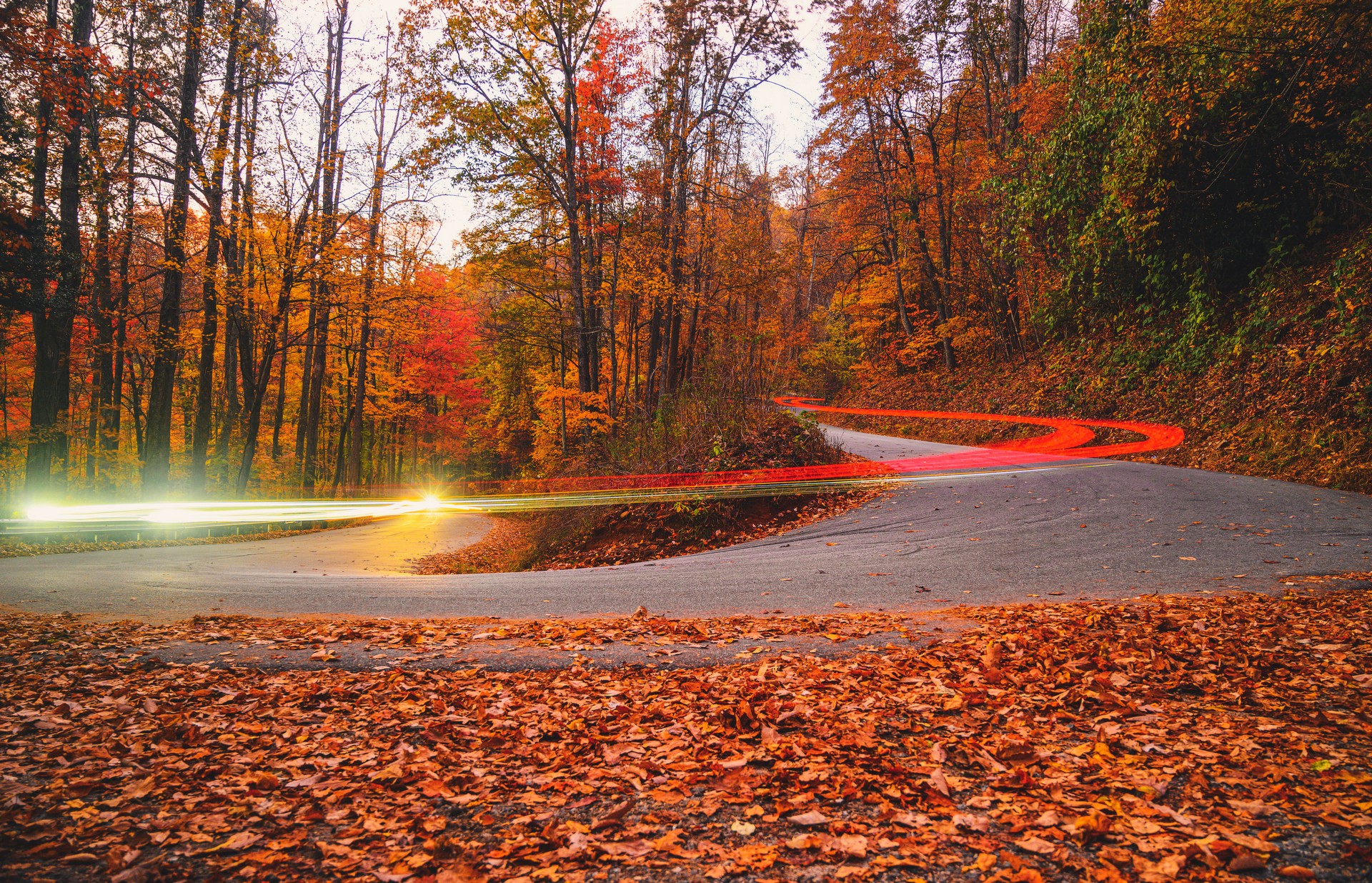 BMW Hosting Three-Day M Celebration In Spartanburg Facility