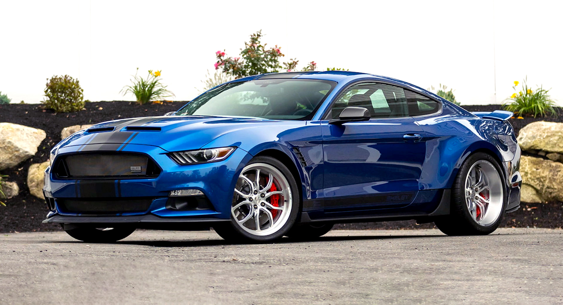 Wild Shelby Mustang Super Snake Widebody Concept aux enchères