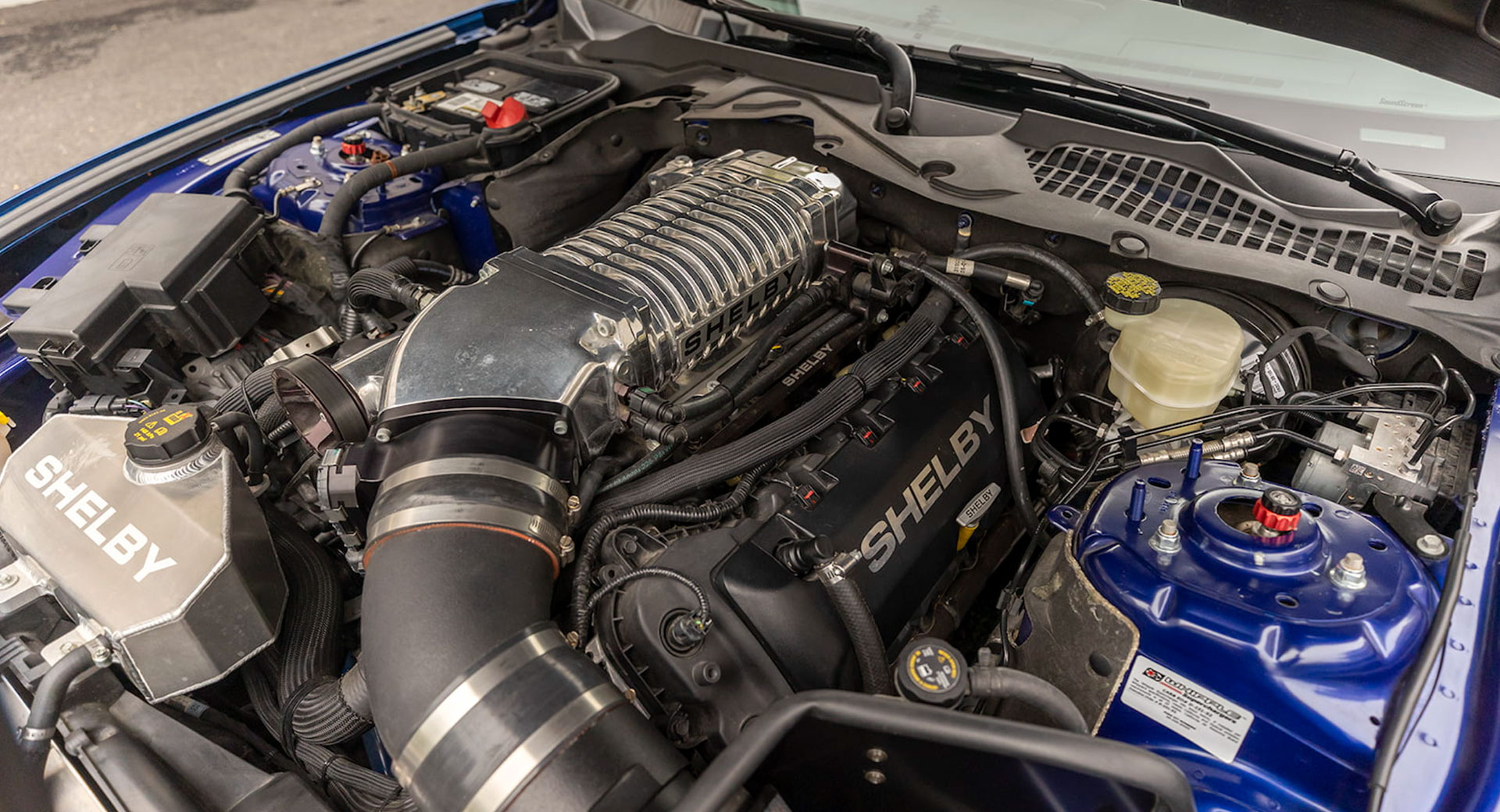 Wild Shelby Mustang Super Snake Widebody Concept Heads To Auction