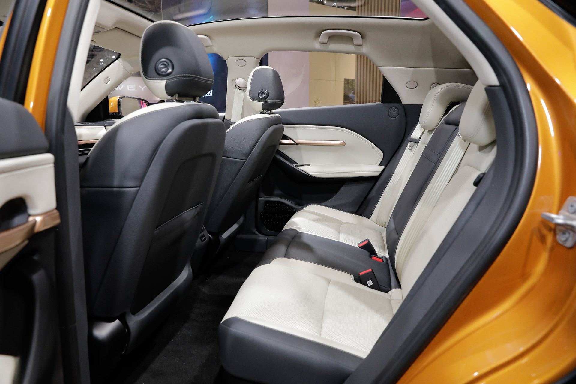 VinFast Electric SUV Range Lands In Paris Ready To Conquer Europe