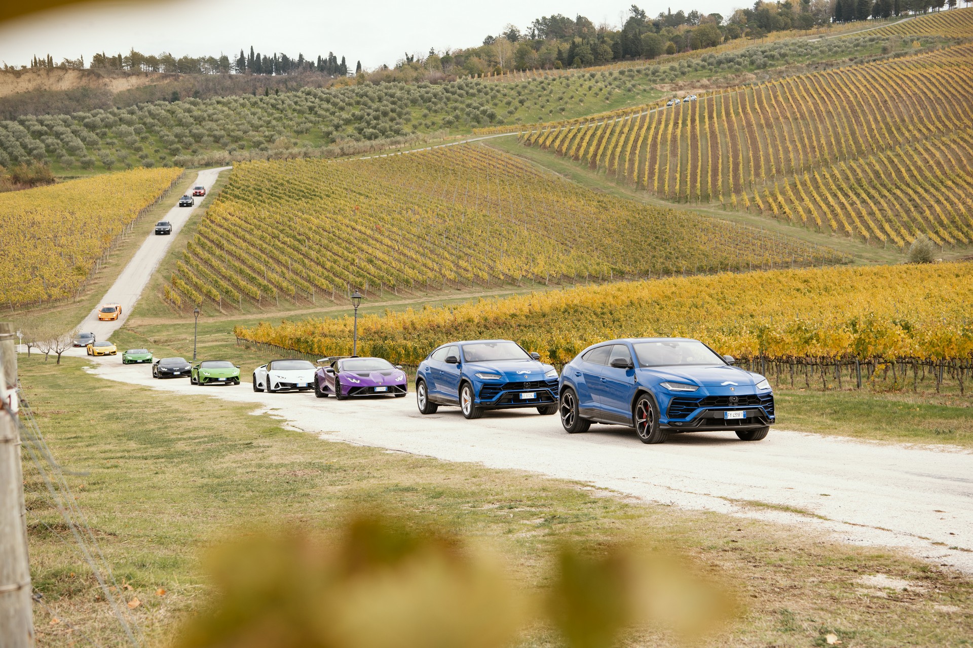 Lamborghini Supporting Movember With Bull Runs Around The World