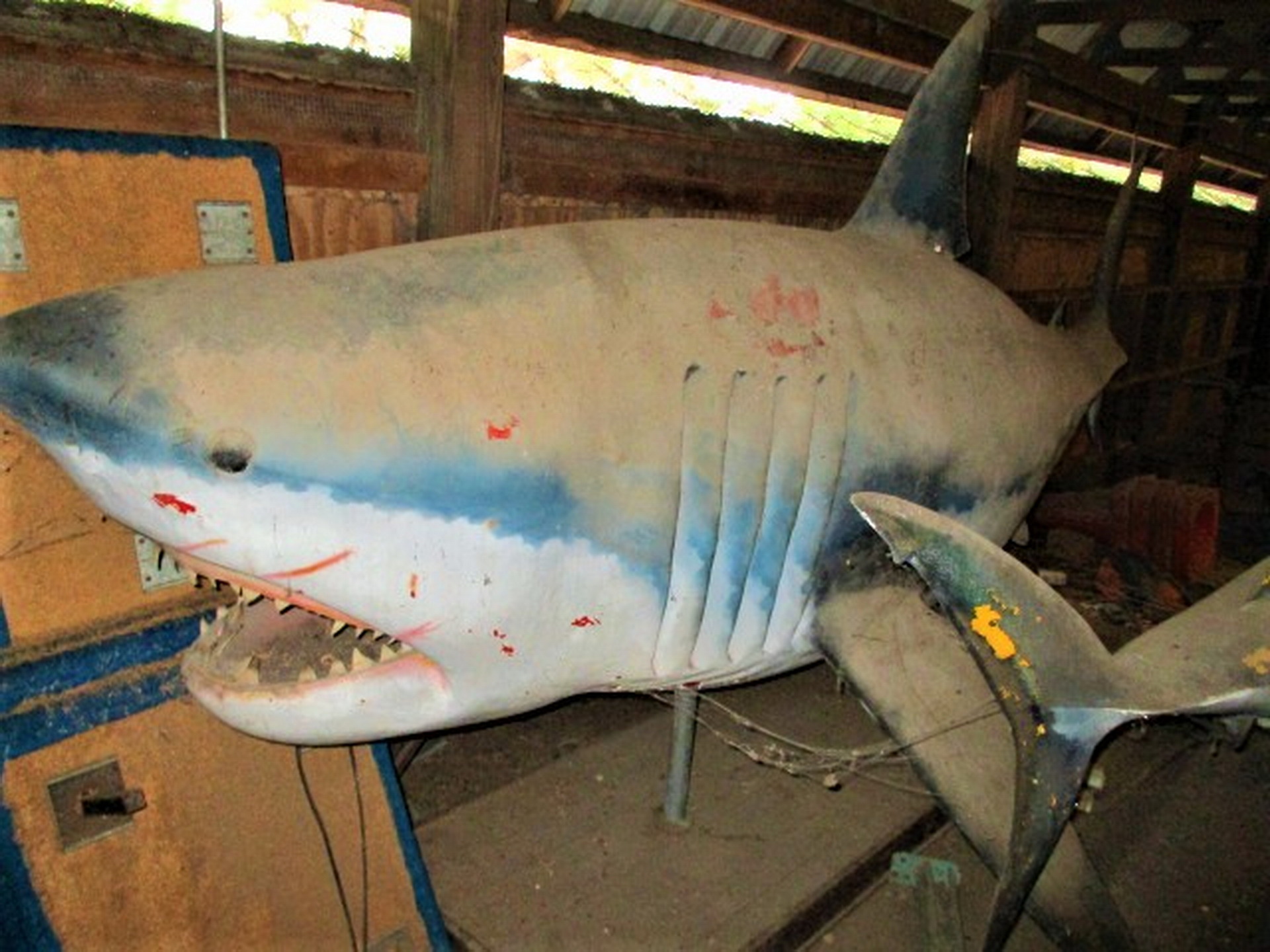 One Late Petrolhead’s Incredible Classic Car Collection Goes Up For Auction In Tampa