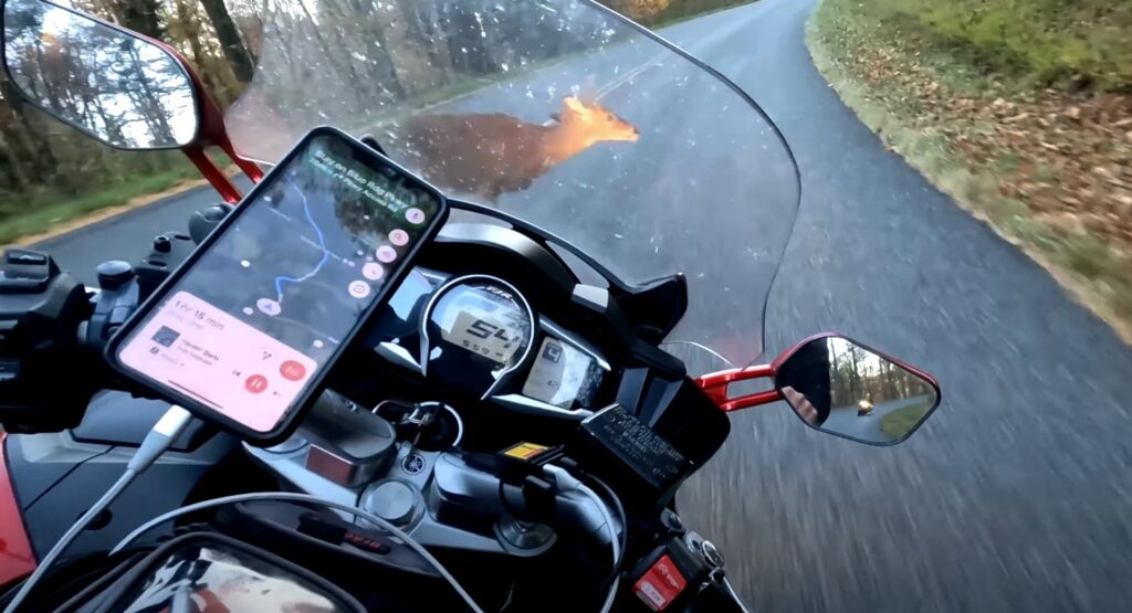  Watch Motorcyclist Collide Head On With A Deer At 54MPH After Exiting Corner