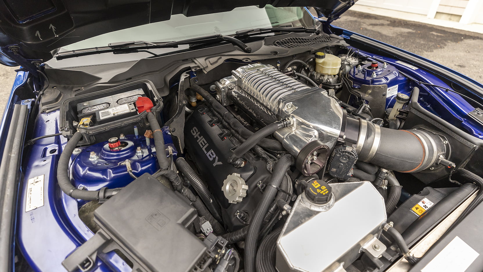 Wild Shelby Mustang Super Snake Widebody Concept Heads To Auction