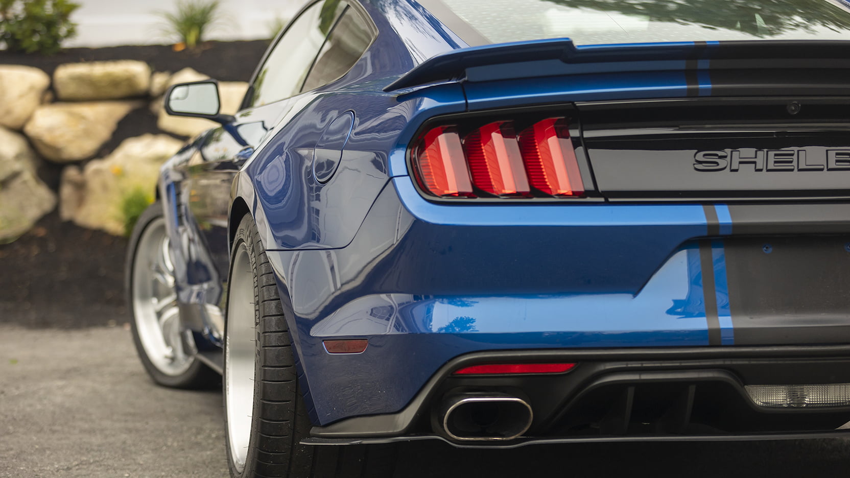 Wild Shelby Mustang Super Snake Widebody Concept Heads To Auction