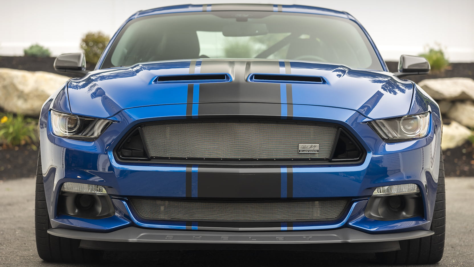 Wild Shelby Mustang Super Snake Widebody Concept Heads To Auction