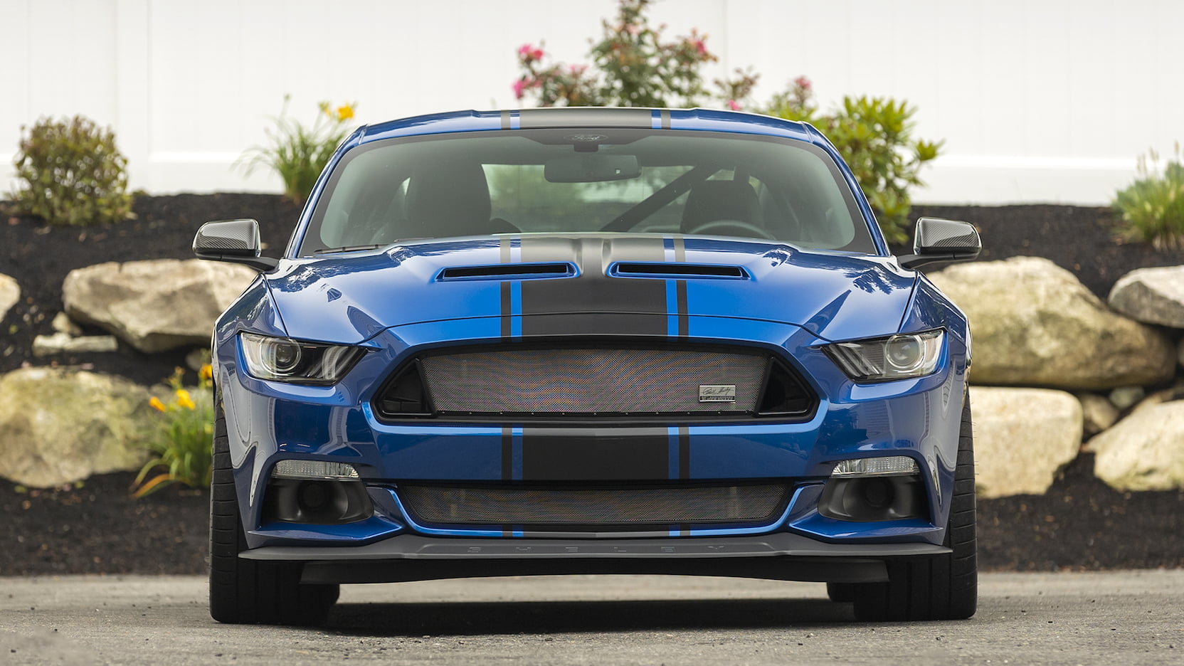 Wild Shelby Mustang Super Snake Widebody Concept Heads To Auction