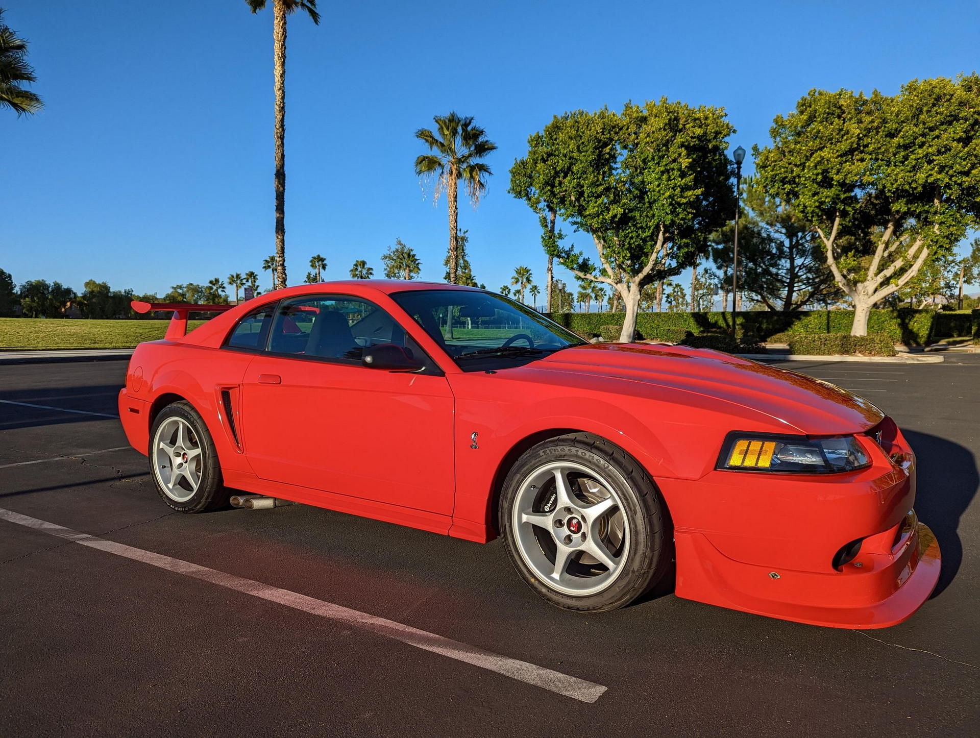 Very Rare Low Mileage Ford Mustang Cobra R Offered At Auction