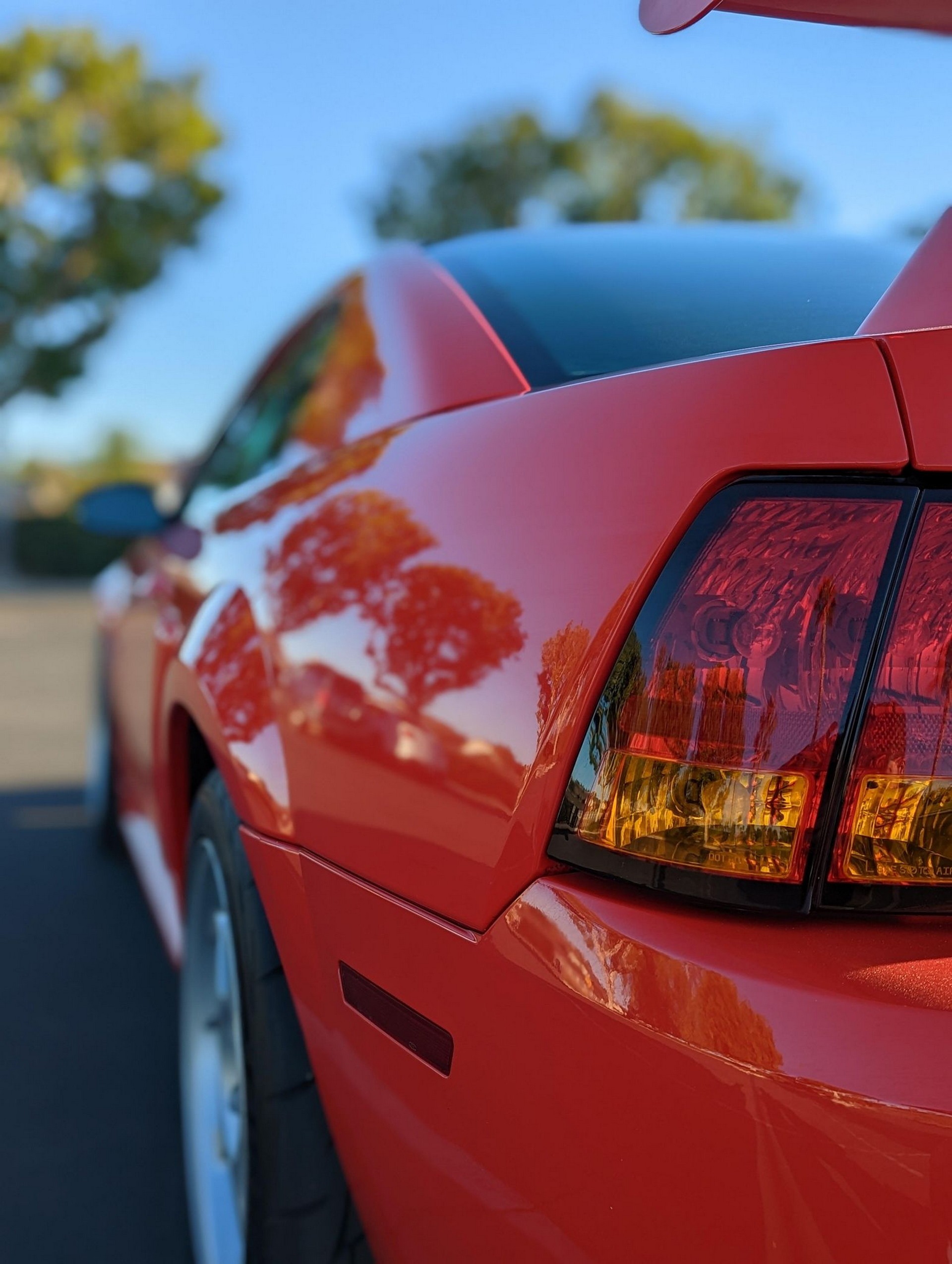Very Rare Low Mileage Ford Mustang Cobra R Offered At Auction