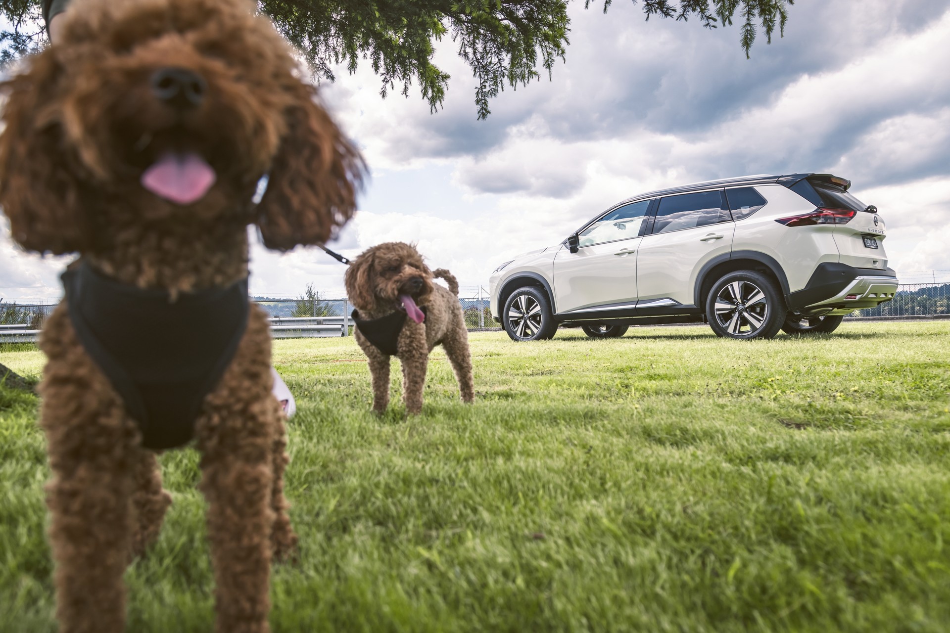 New 2023 Nissan X-Trail Arrives In Australia From AU$36,750