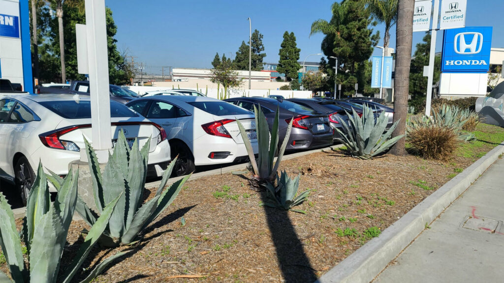 Used Car Prices Climbed 2.5% In January, Still Below Recent Highs