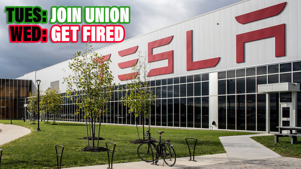  Tesla Fired Workers After They Announced Plans To Unionize, Employees Claim