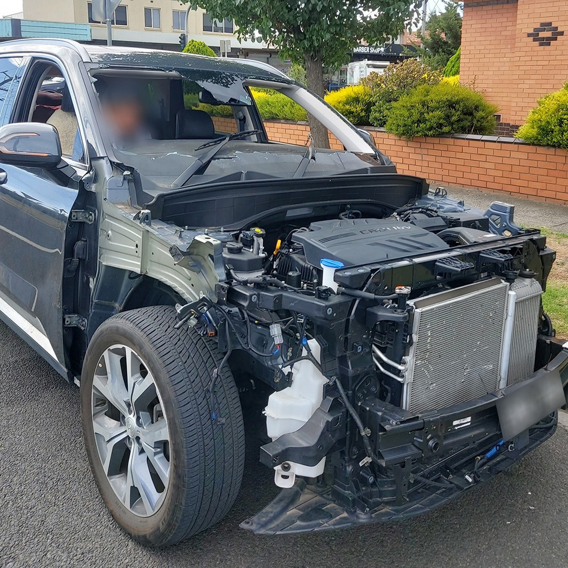 Naked Hyundai Palisade (1)