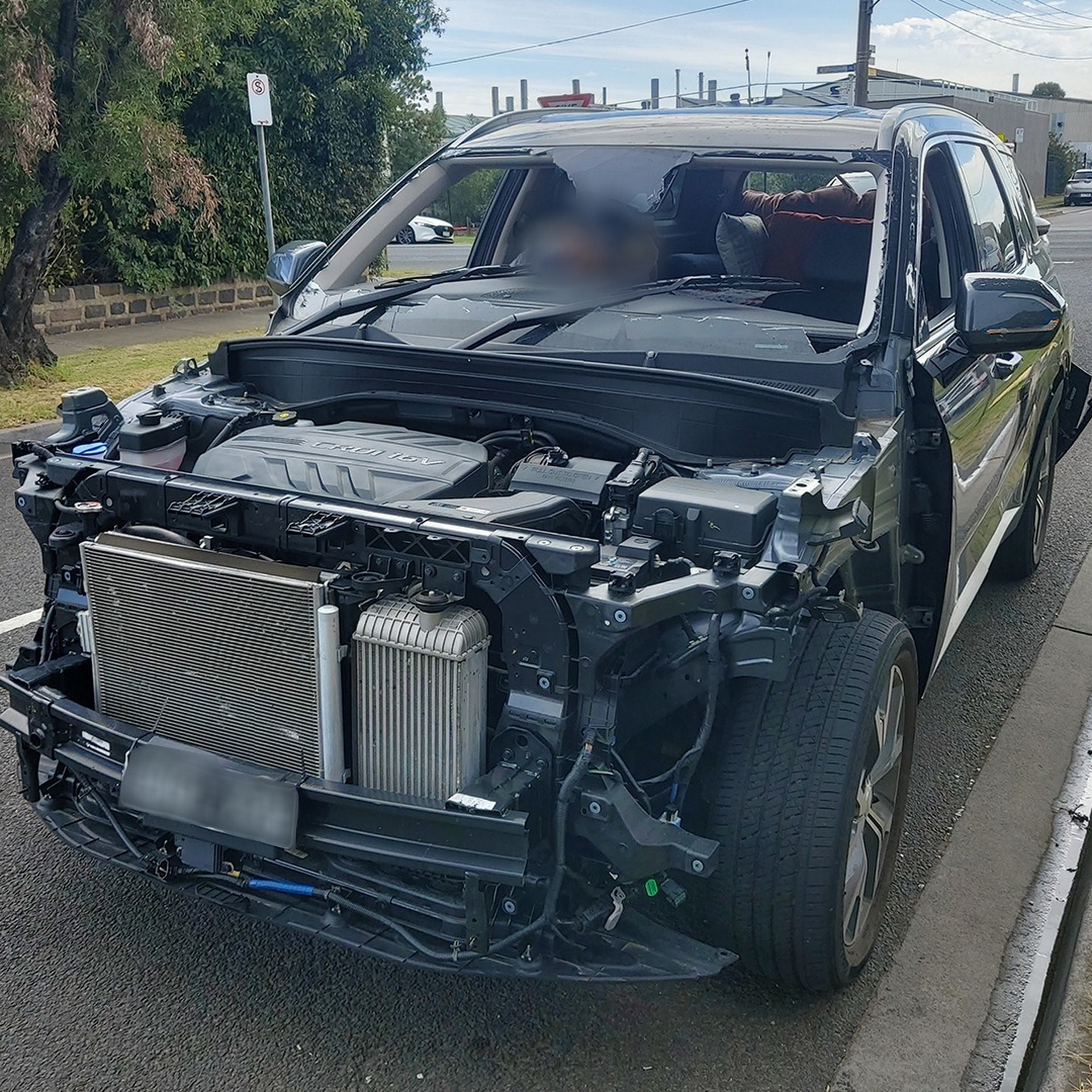 Naked Hyundai Palisade (2)