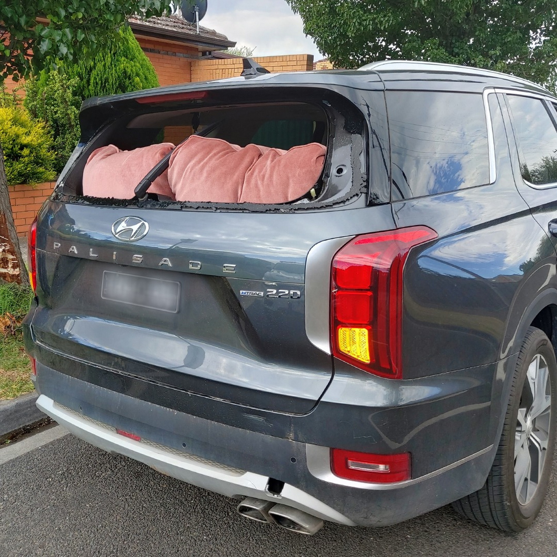 Naked Hyundai Palisade (3)