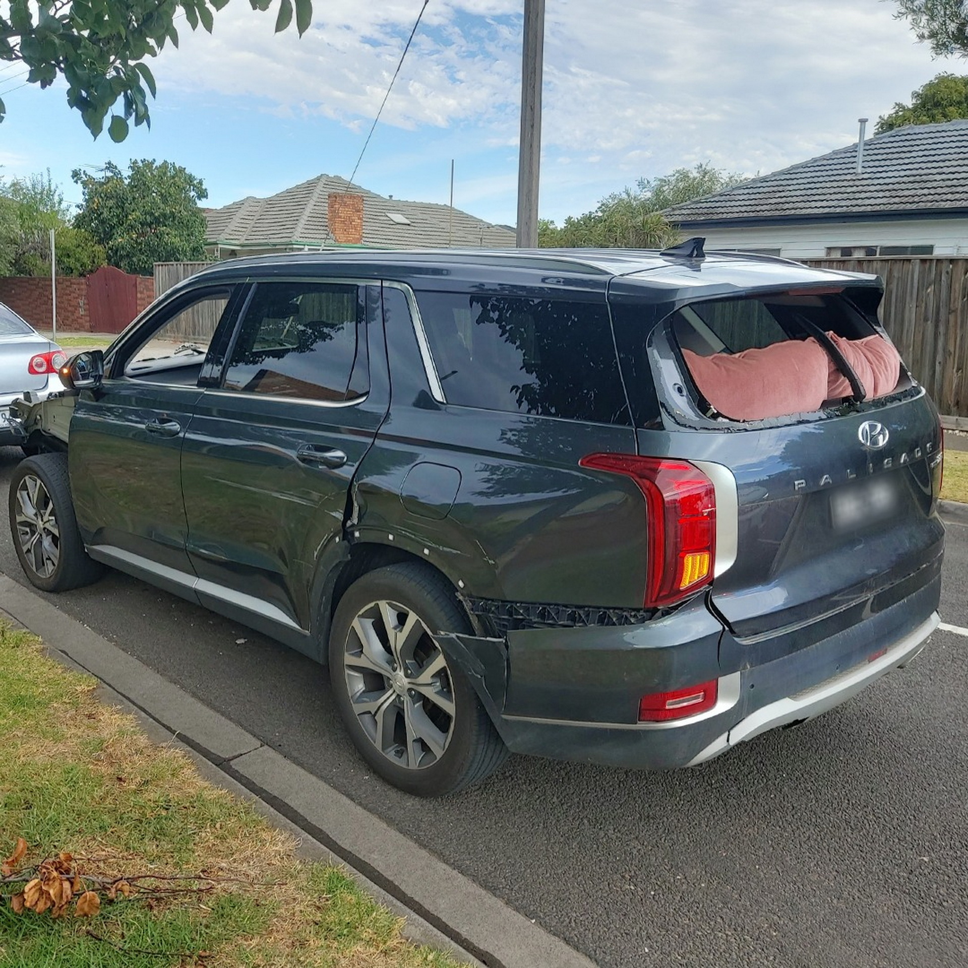 Naked Hyundai Palisade (4)