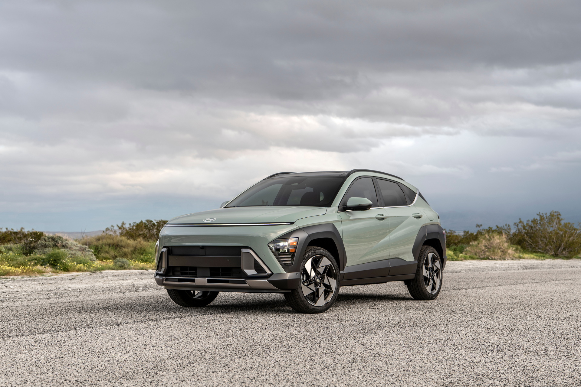 Hyundai Kona Limited (1)