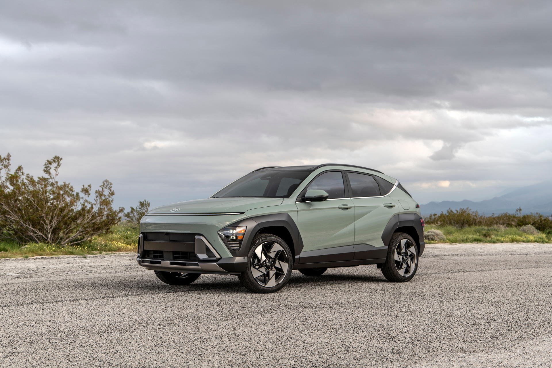 Hyundai Kona Limited (2)