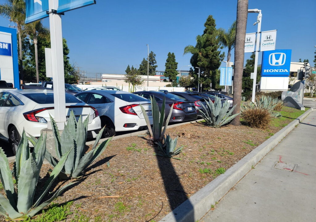  Americans Having Trouble Buying EVs Because Two-Thirds Of Dealers Don’t Have Any