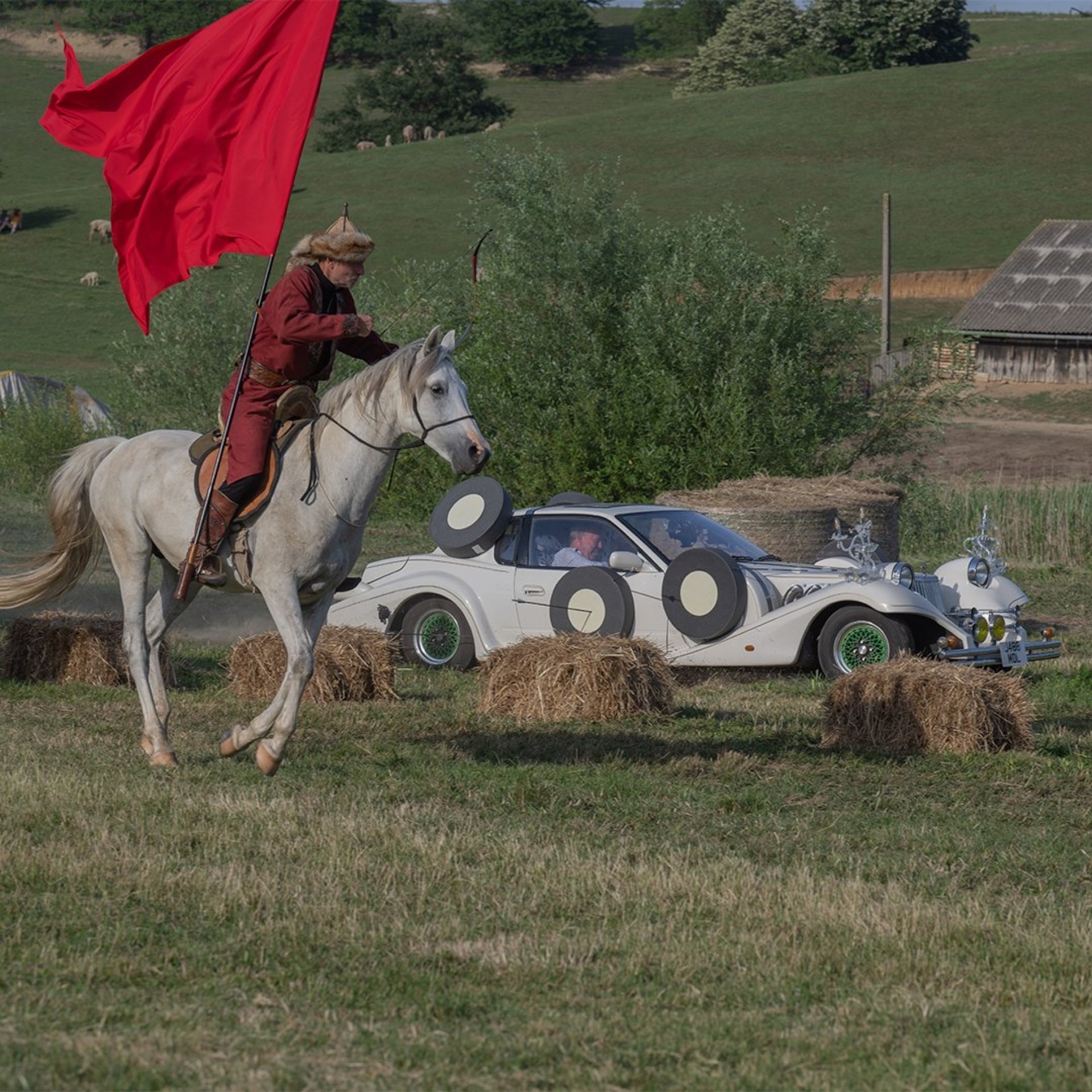 grand tour cow car