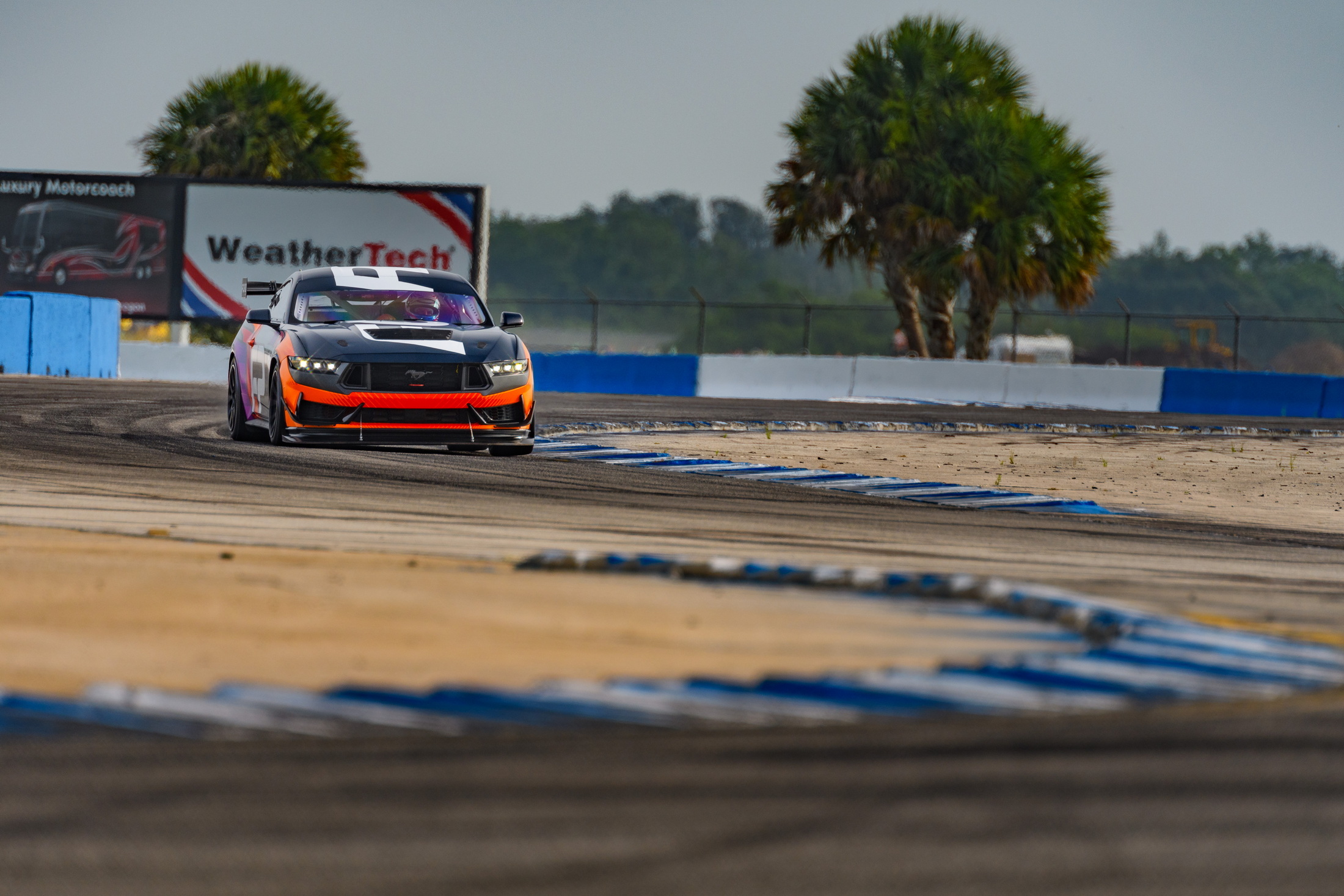 2024 Ford Mustang GT4 Puts A Racing Outfit On The Dark Horse | Carscoops