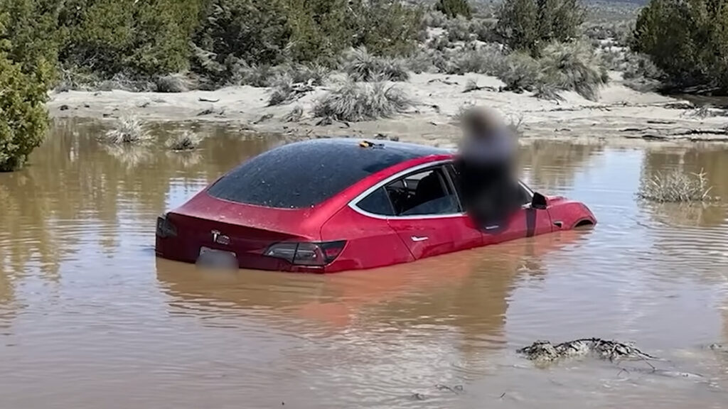  Tesla Model 3 Driver Ignores FSD Limitations, Drives Through Flooded Road