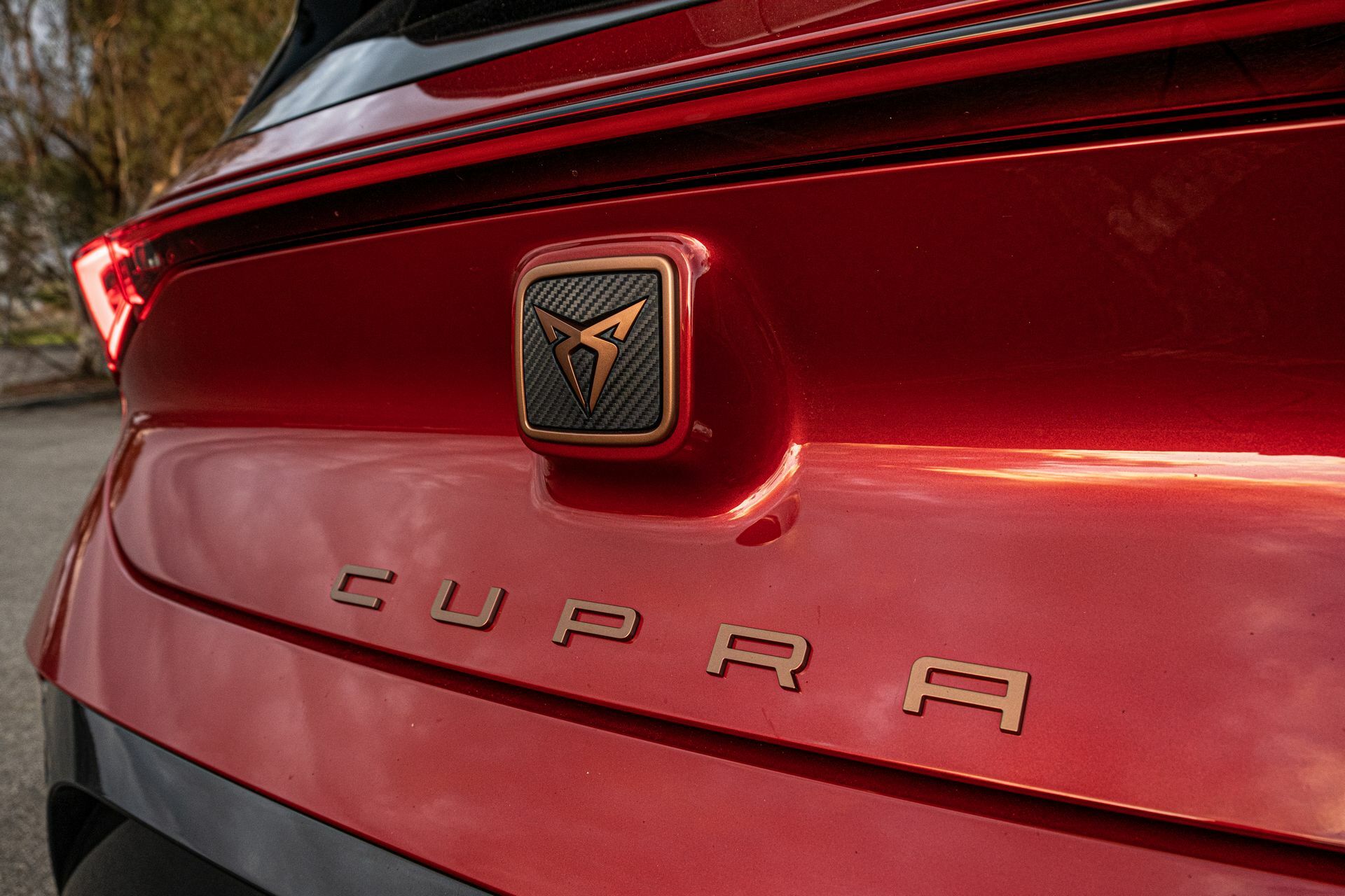 Cupra Born - 18