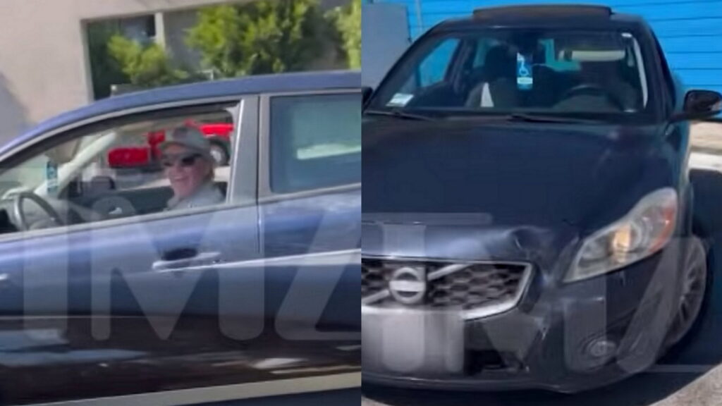  Woman Chases Gary Busey After He Allegedly Hits Her Car And Runs