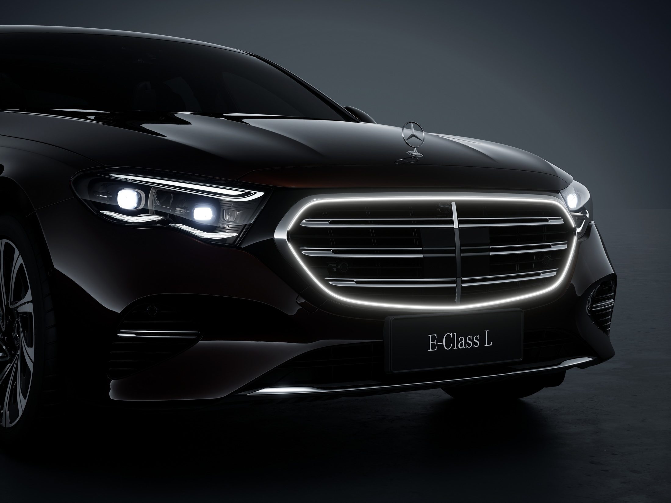 2024 Mercedes-Benz E-Class L (10)