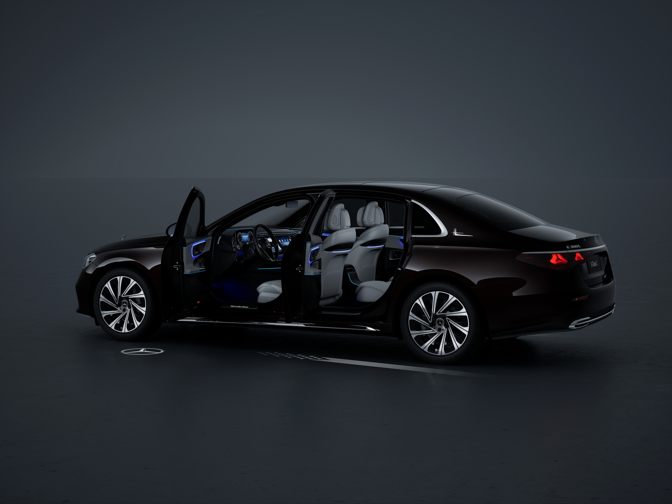 2024 Mercedes-Benz E-Class L (12)