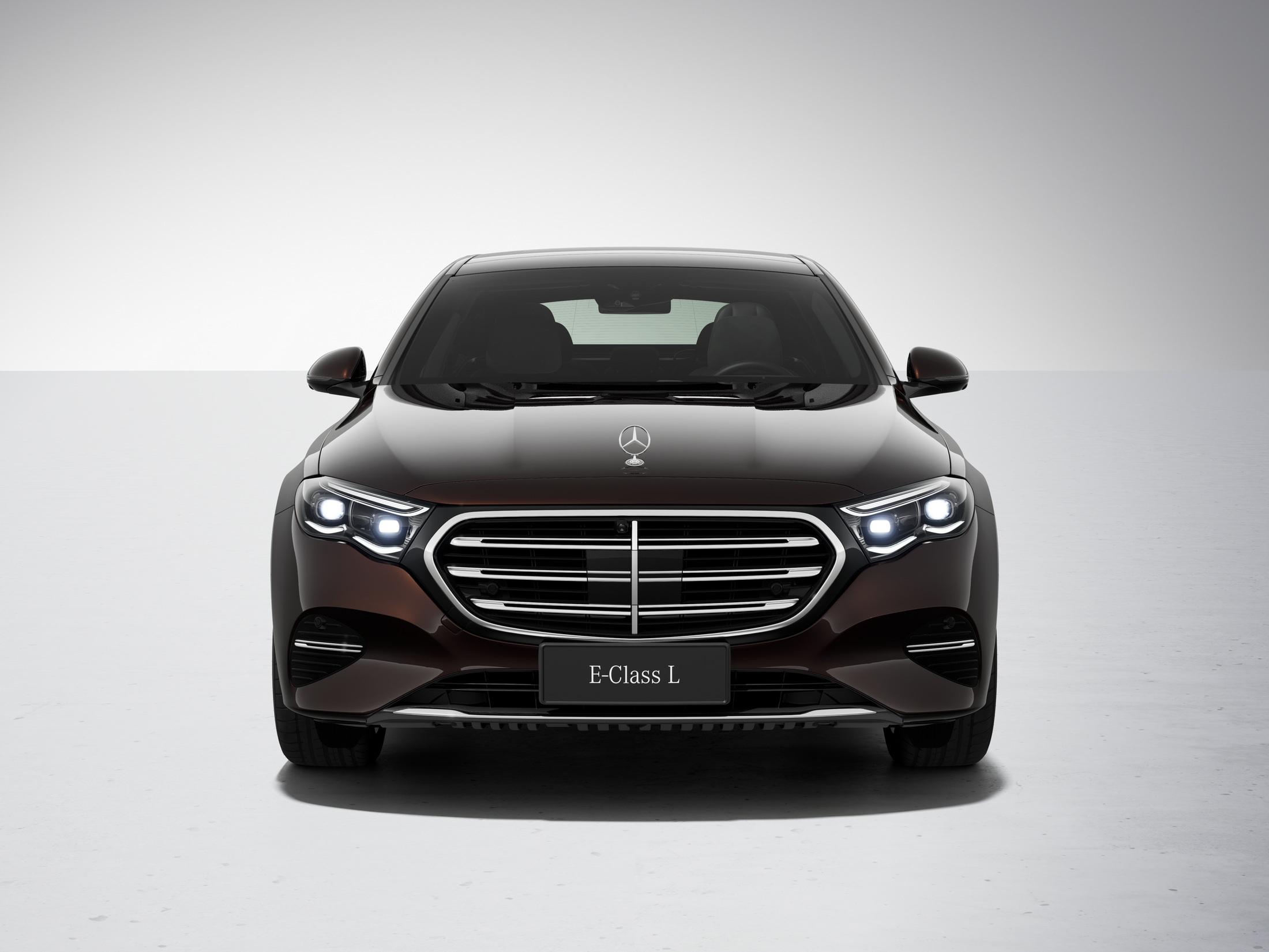 2024 Mercedes-Benz E-Class L (6)