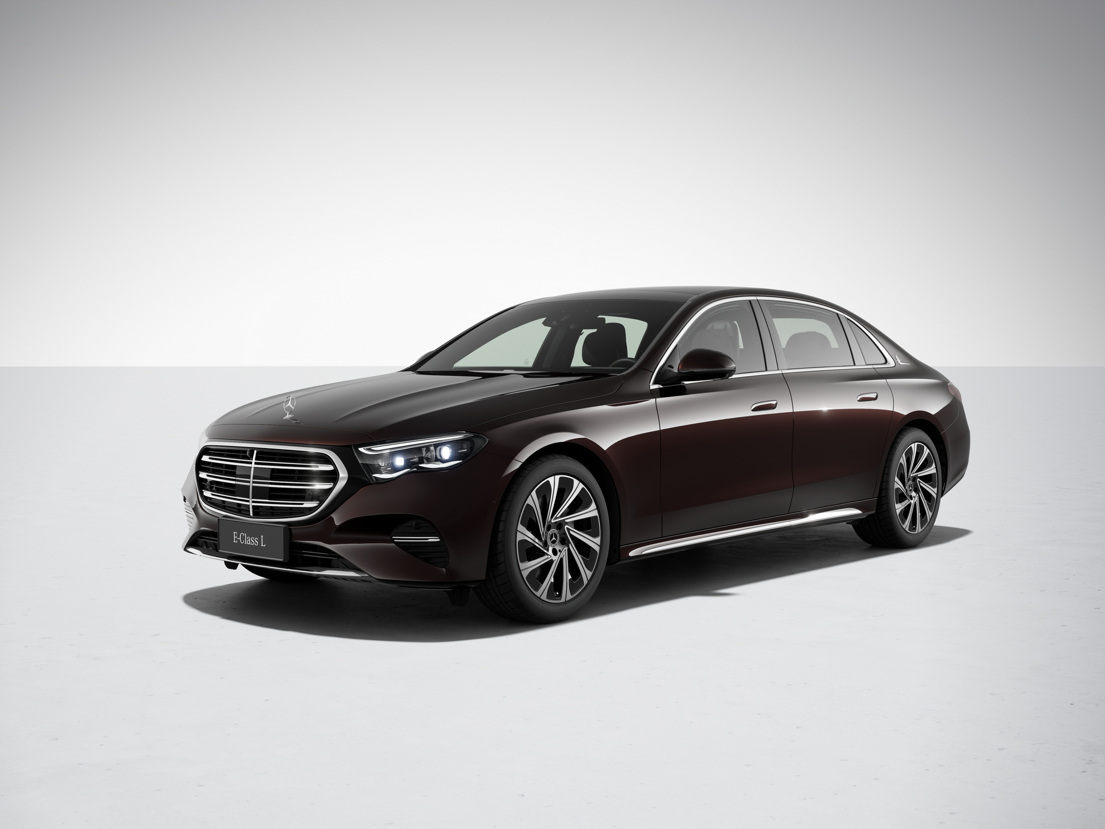 2024 Mercedes-Benz E-Class L (8)