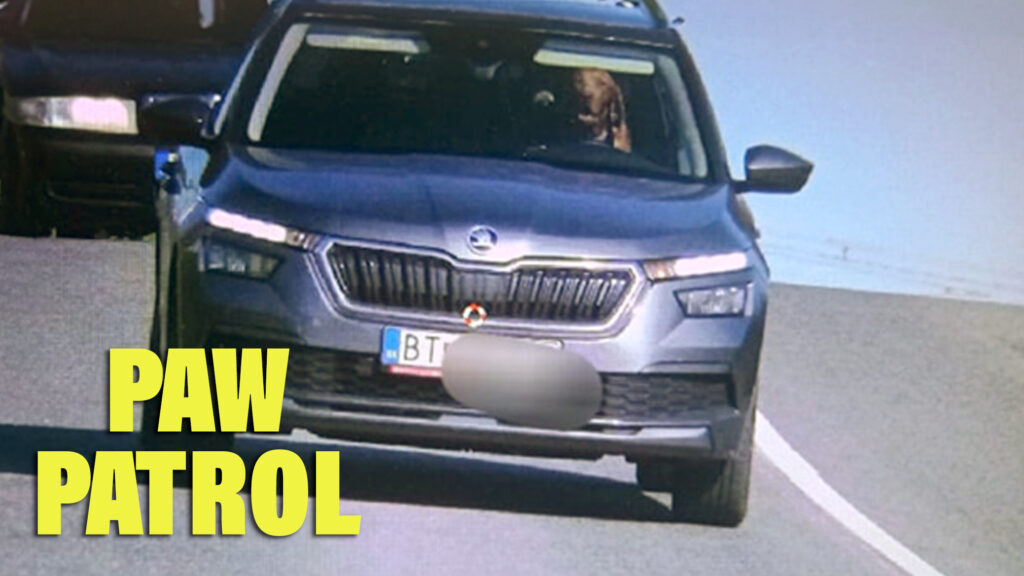  Speed Camera Catches Dog Driving Over The Limit In Slovakia, Driver Fined