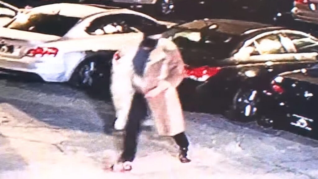  Mission Impossible Heist At Dealership Sees Thieves In Fur Coats And Cowboy Hats Steal 8 Cars
