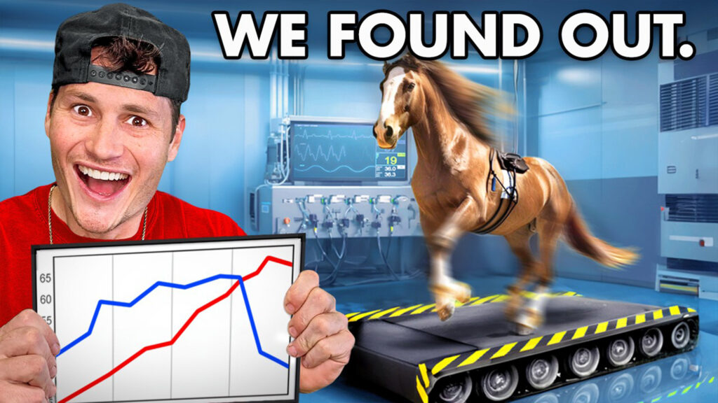  How Much Horsepower Is A Horse? This Crazy Dyno Experiment Reveals All