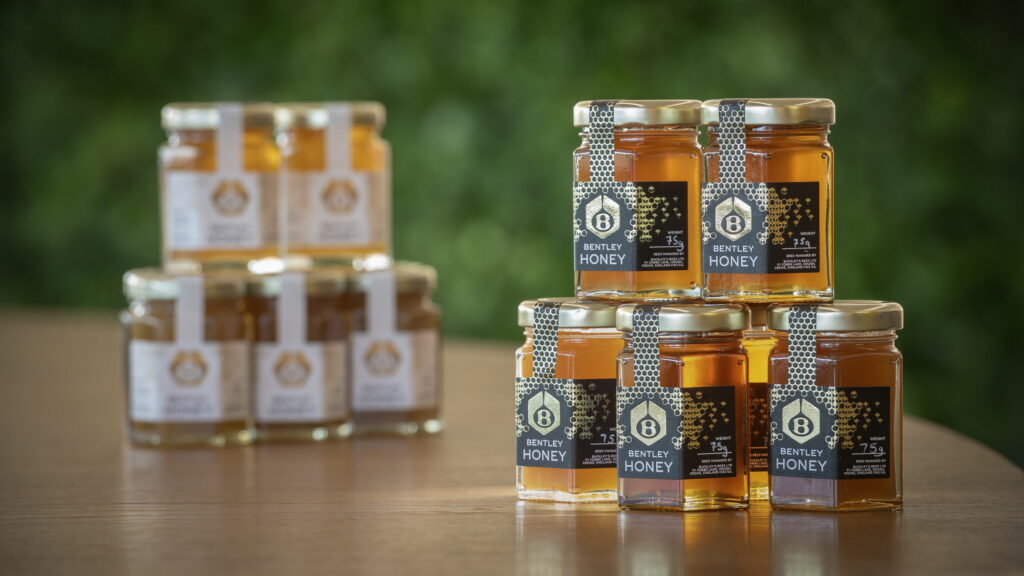  Bentley Introduces Exclusive, New Black Edition… Honey?