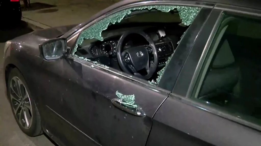  Vandals Break Into Over 25 Cars, All On One Chicago Street