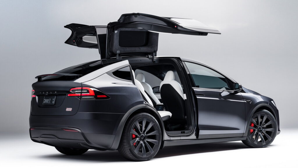  California Mom Sues Tesla After 2-Year-Old Started Model X And Hit Her