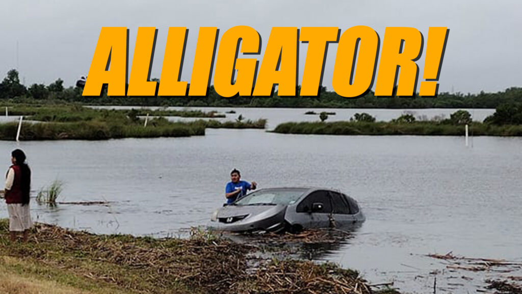  Giant Alligator Causes Honda To Plunge Into Louisiana Water