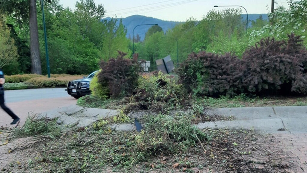  Cybertruck Goes Straight Over Roundabout, Drunk Driver Goes Straight To Jail