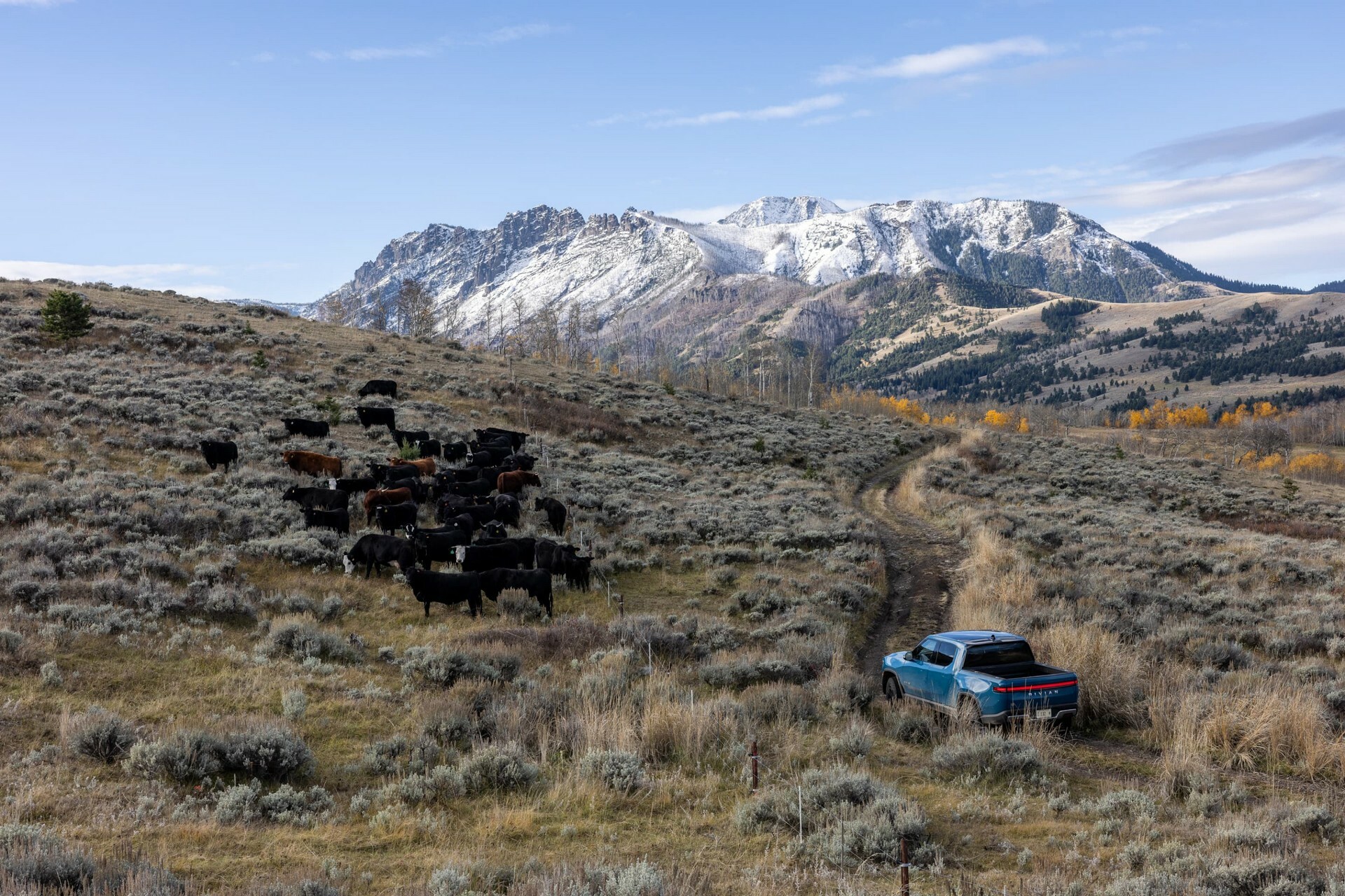 2024 Rivian R1T 606 12