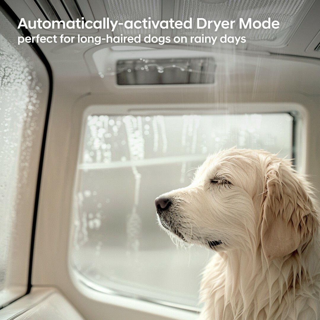 Hyundai Had A Weird, Dog-Focused AI Fever Dream | Carscoops
