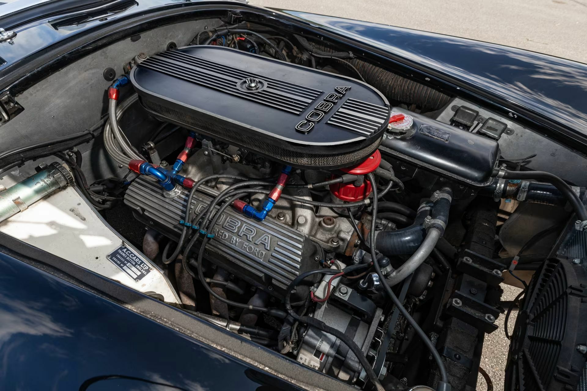 Shelby Cobra 13_result22
