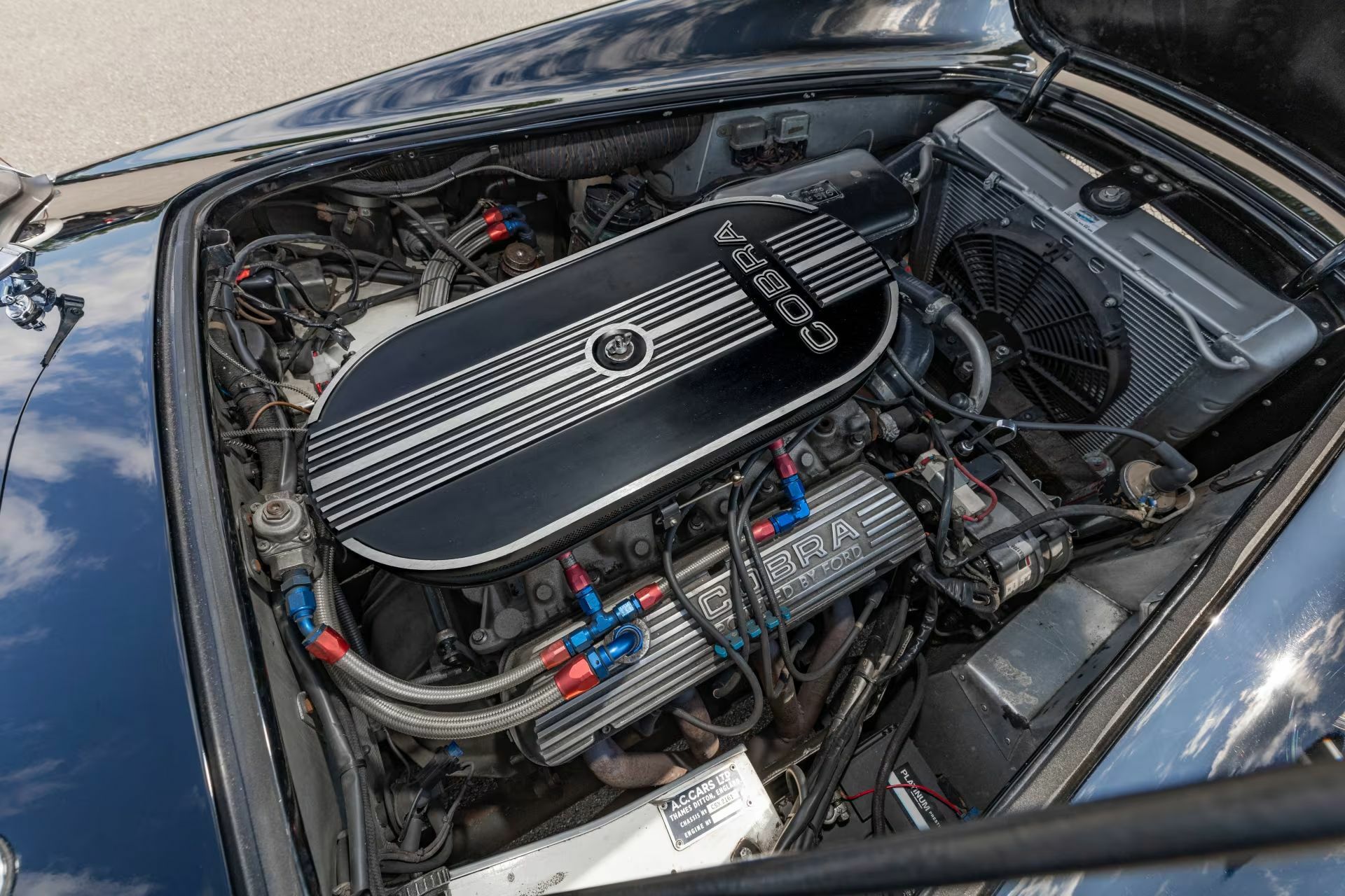 Shelby Cobra 14_result22