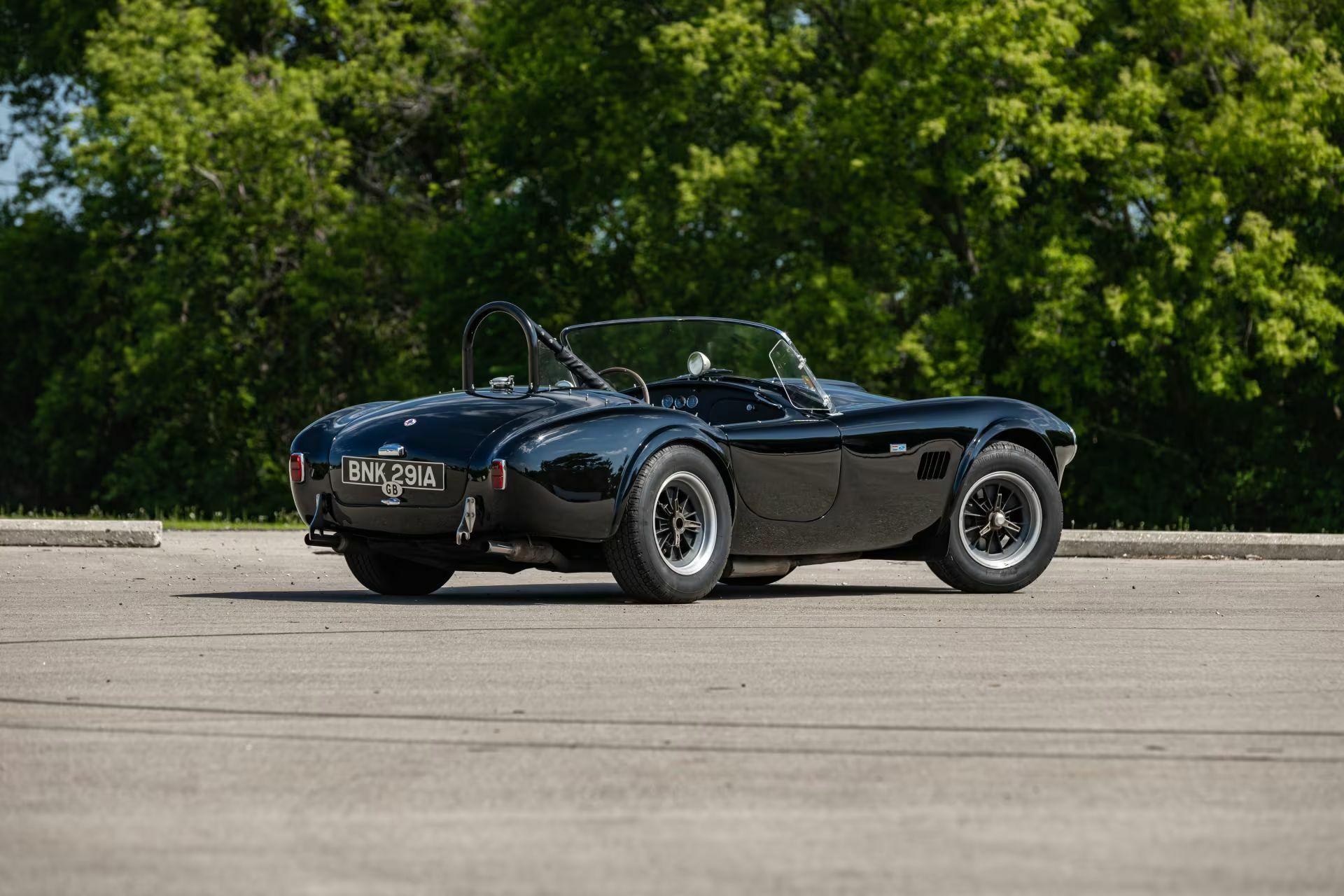 Shelby Cobra 3_result22